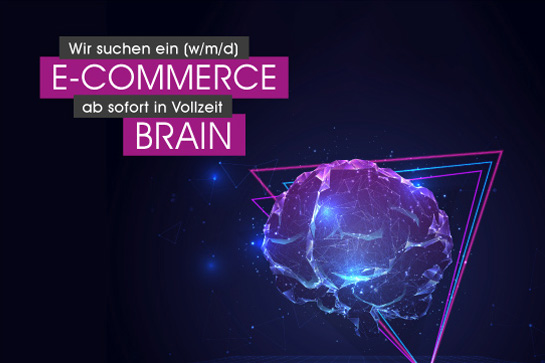 Wir suchen E-Commerce Brain